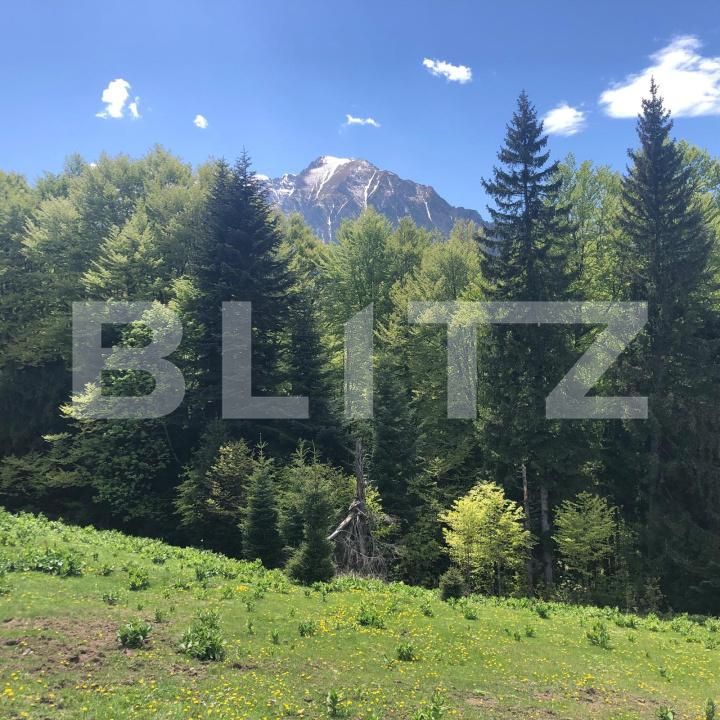 Teren de vânzare Exterior Est - 171957TV | BLITZ Brașov | Poza4