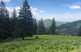 De vanzare, teren intravilan 5.500mp, Predeal