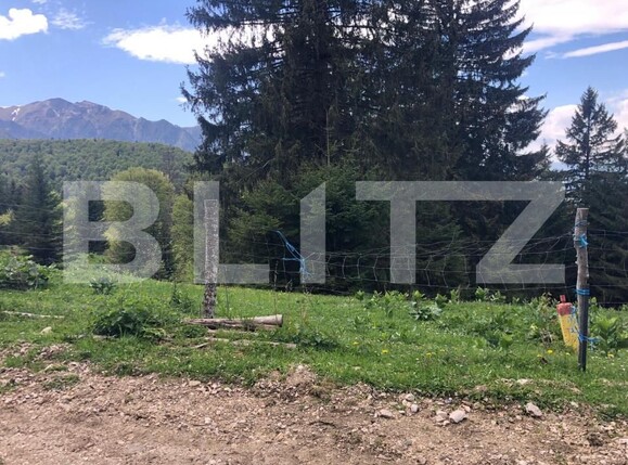 Teren de vânzare Exterior Est - 171958TV | BLITZ Brașov | Poza9