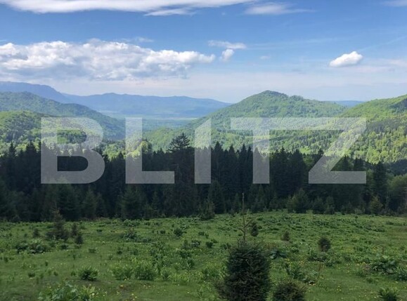 Teren de vânzare Exterior Est - 171958TV | BLITZ Brașov | Poza2
