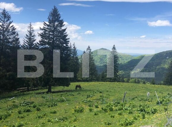 Teren de vânzare Exterior Est - 171958TV | BLITZ Brașov | Poza1