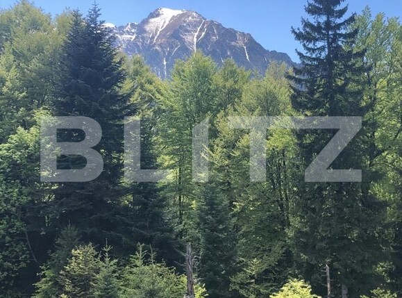 Teren de vânzare Exterior Est - 171959TV | BLITZ Brașov | Poza6