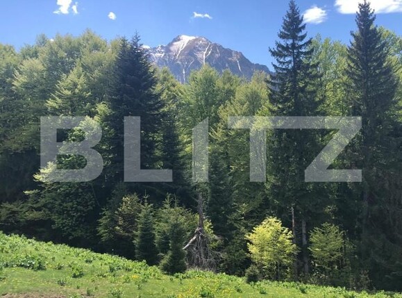 Teren de vânzare Exterior Est - 171959TV | BLITZ Brașov | Poza1