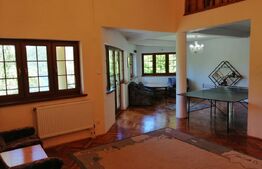 Oportunitate! Vila, de inchiriat, ponton, acces lac, Tarnita!