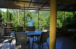 Oportunitate! Vila, de inchiriat, ponton, acces lac, Tarnita!