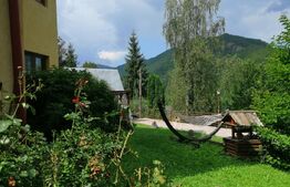 Oportunitate! Vila, de inchiriat, ponton, acces lac, Tarnita!