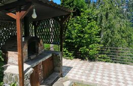 Oportunitate! Vila, de inchiriat, ponton, acces lac, Tarnita!