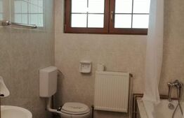 Oportunitate! Vila, de inchiriat, ponton, acces lac, Tarnita!