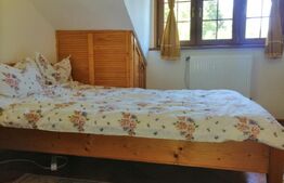 Oportunitate! Vila, de inchiriat, ponton, acces lac, Tarnita!