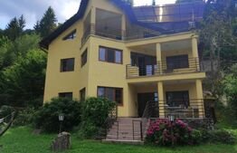 Oportunitate! Vila, de inchiriat, ponton, acces lac, Tarnita!