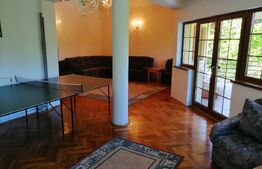 Oportunitate! Vila, de inchiriat, ponton, acces lac, Tarnita!