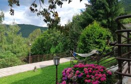 Oportunitate! Vila, de inchiriat, ponton, acces lac, Tarnita!