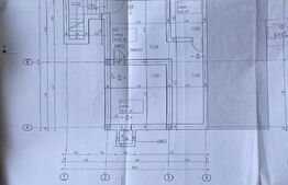 Proprietate speciala: Casa individuala 200 mp utili si 2550 mp teren, Oasului