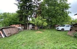 Proprietate speciala: Casa individuala 200 mp utili si 2550 mp teren, Oasului