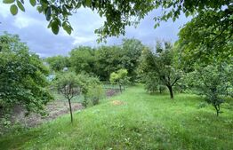 Proprietate speciala: Casa individuala 200 mp utili si 2550 mp teren, Oasului