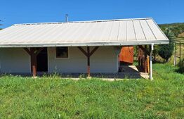 Teren 1000 mp intravilan cu constructie metalica de 66 mp