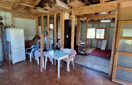 Teren 1000 mp intravilan cu constructie metalica de 66 mp