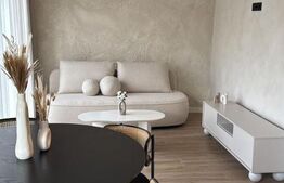 Casa ultrafinisata 80 mp, gradina 30 mp, terasa 35 mp, zona Avram Iancu