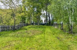 Casa de weekend, 1.000 mp de teren intravilan, localitatea Rasca