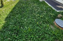 Apartament la cheie, totul nou, gradina, parcare, zona Terra