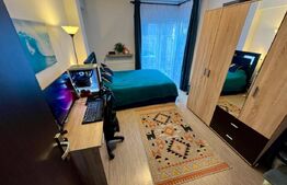 Apartament 3 camere - strada Teilor