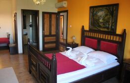 Conac de vânzare 7 camere cu bai proprii, cramă, ciubăr și potențial 