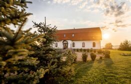 Conac de vânzare 7 camere cu bai proprii, cramă, ciubăr și potențial 