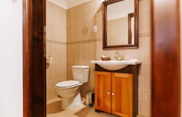 Conac de vânzare 7 camere cu bai proprii, cramă, ciubăr și potențial 