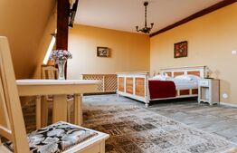 Conac de vânzare 7 camere cu bai proprii, cramă, ciubăr și potențial 