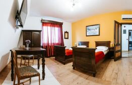 Conac de vânzare 7 camere cu bai proprii, cramă, ciubăr și potențial 