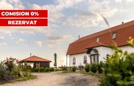 Conac de vânzare 7 camere cu bai proprii, cramă, ciubăr și potențial 