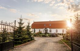 Conac de vânzare 7 camere cu bai proprii, cramă, ciubăr și potențial 