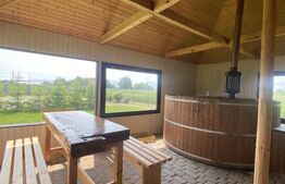 Conac de vânzare 7 camere cu bai proprii, cramă, ciubăr și potențial 