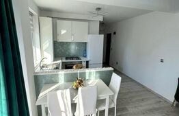 Apartament cu 3 camere, etajul 1, mobilat modern, parcare, Tineretului