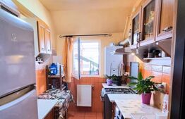 Apartament de 56 mp cu terasă cozy si zonă verde lângă bloc - Strada Porii 144