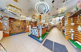 Descoperă Locația Ideală pentru Afacerea și Locuința Ta