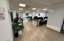 Cladire de birouri moderna, 15 incaperi, 900 mp, zona Europa