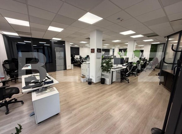 Spațiu birouri de închiriat Europa - 172253SIB | BLITZ Cluj-Napoca | Poza2