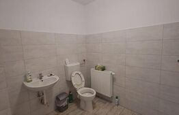 Spatiu comercial, Tractoru, pozitie excelenta!