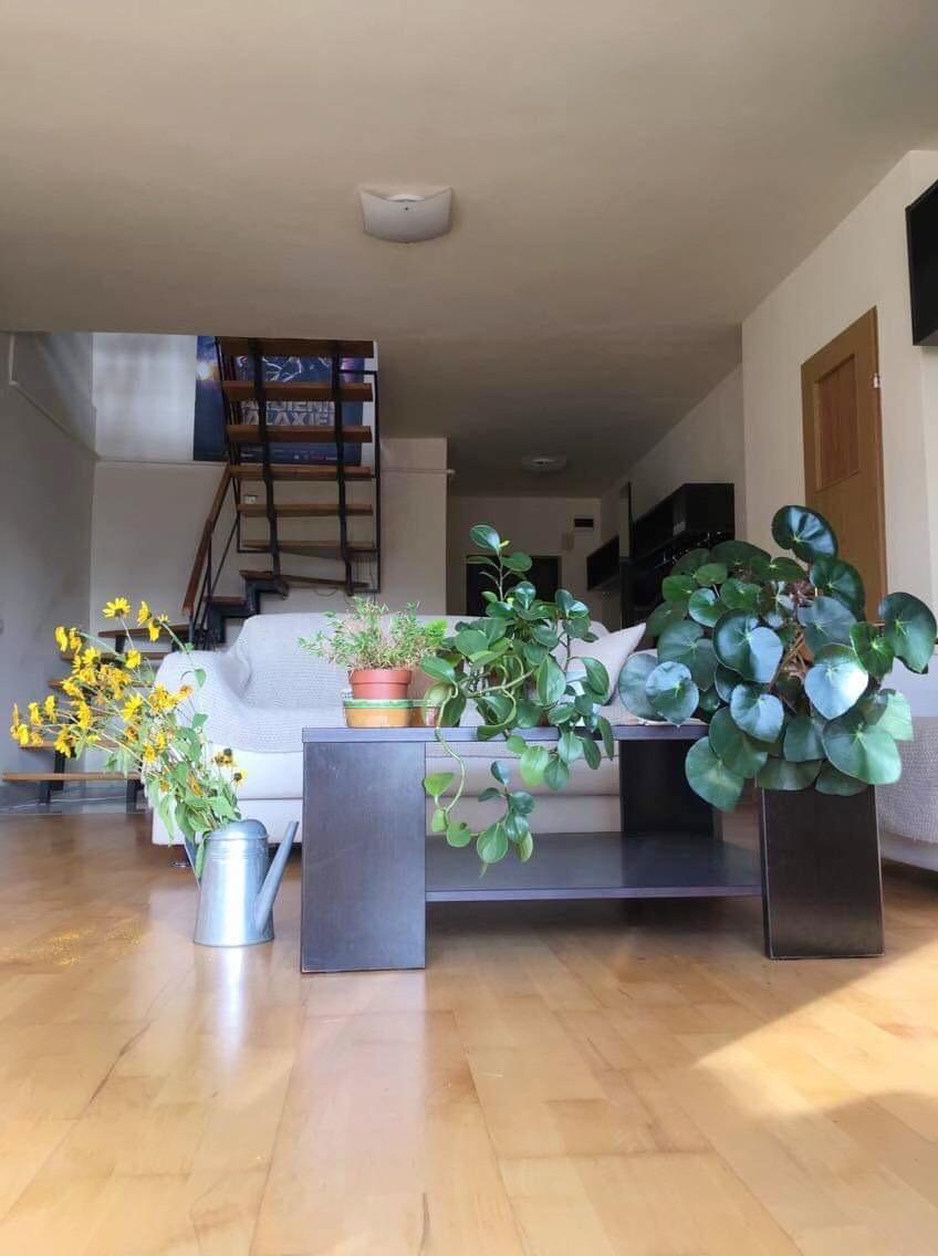 Apartament de închiriat 4 camere Manastur - 17230AI | BLITZ Cluj-Napoca | Poza2