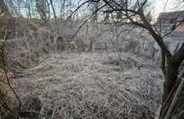 Casă săsească autentică de vânzare, 4 camere, 150 mp