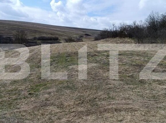 Teren de vânzare Baciu - 172349TV | BLITZ Cluj-Napoca | Poza1