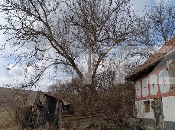 Teren de vânzare Baciu - 172349TV | BLITZ Cluj-Napoca | Poza6