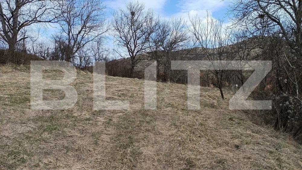 Teren de vânzare Baciu - 172349TV | BLITZ Cluj-Napoca | Poza2