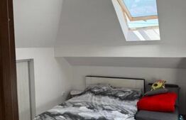 Oportunitate - Apartament de vanzare, 40 mp - Tineretului 