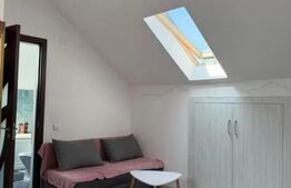 Oportunitate - Apartament de vanzare, 40 mp - Tineretului 