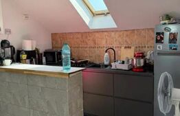 Oportunitate - Apartament de vanzare, 40 mp - Tineretului 