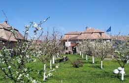 Casa 6 camere, 250 mp, zona Luncani