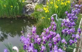 Casa 6 camere, 250 mp, zona Luncani