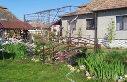 Casa 6 camere, 250 mp, zona Luncani